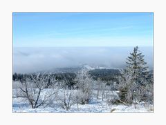 ~ Der Nebel kommt ~