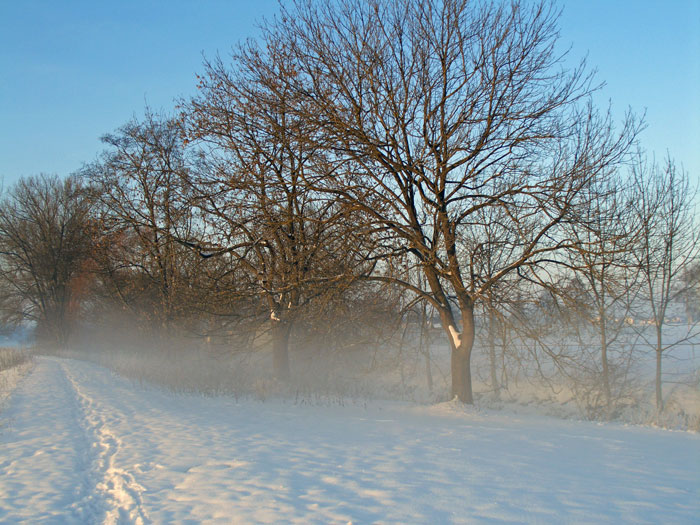 Der Nebel kommt