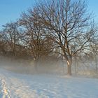 Der Nebel kommt