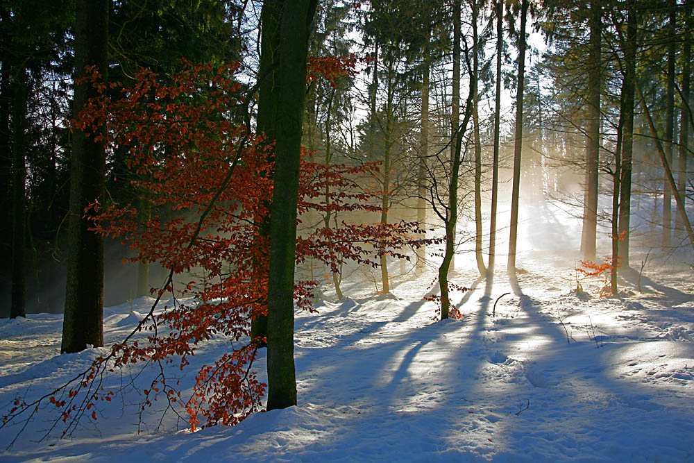 Der Nebel kommt ...