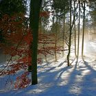 Der Nebel kommt ...