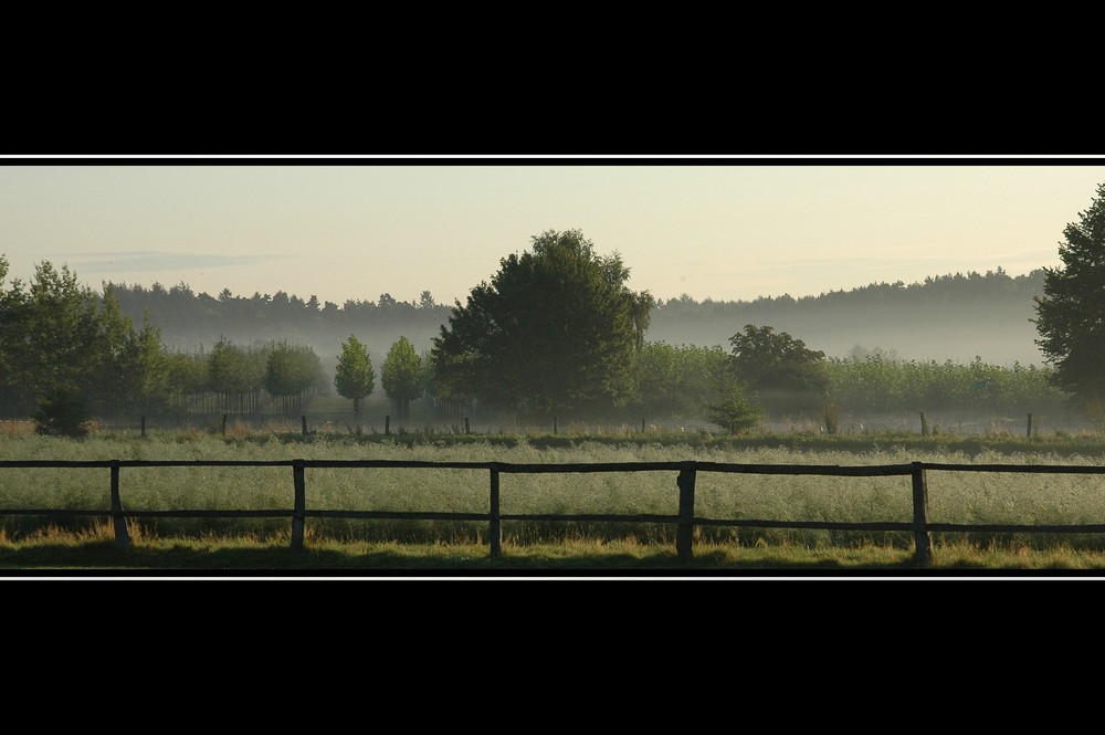 Der Nebel kommt