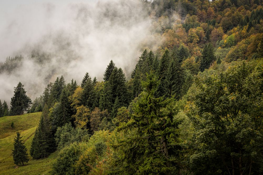 Der Nebel kommt