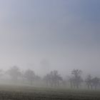 Der Nebel kommt