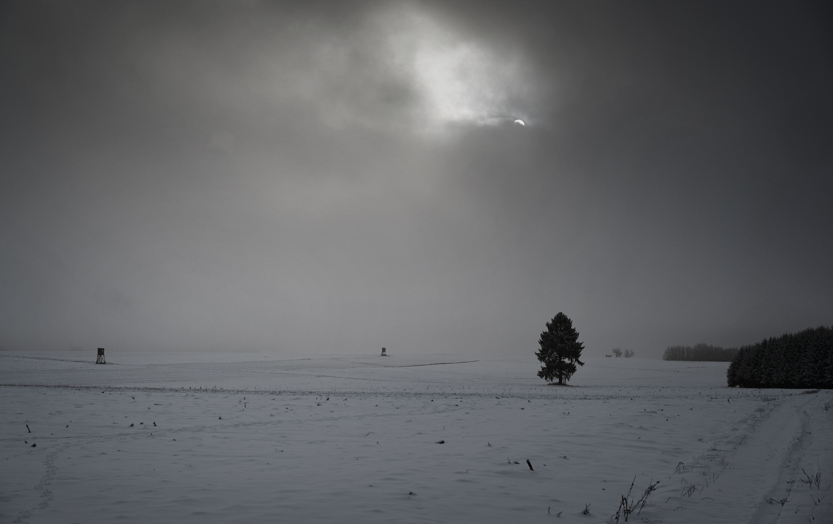 der Nebel  kommt....