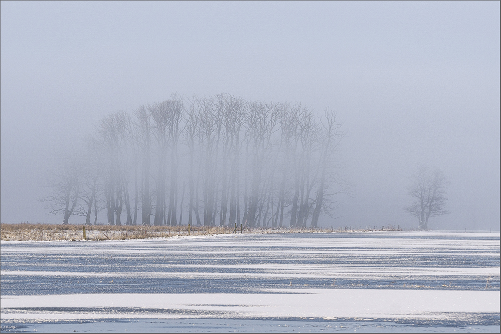 Der Nebel kommt...