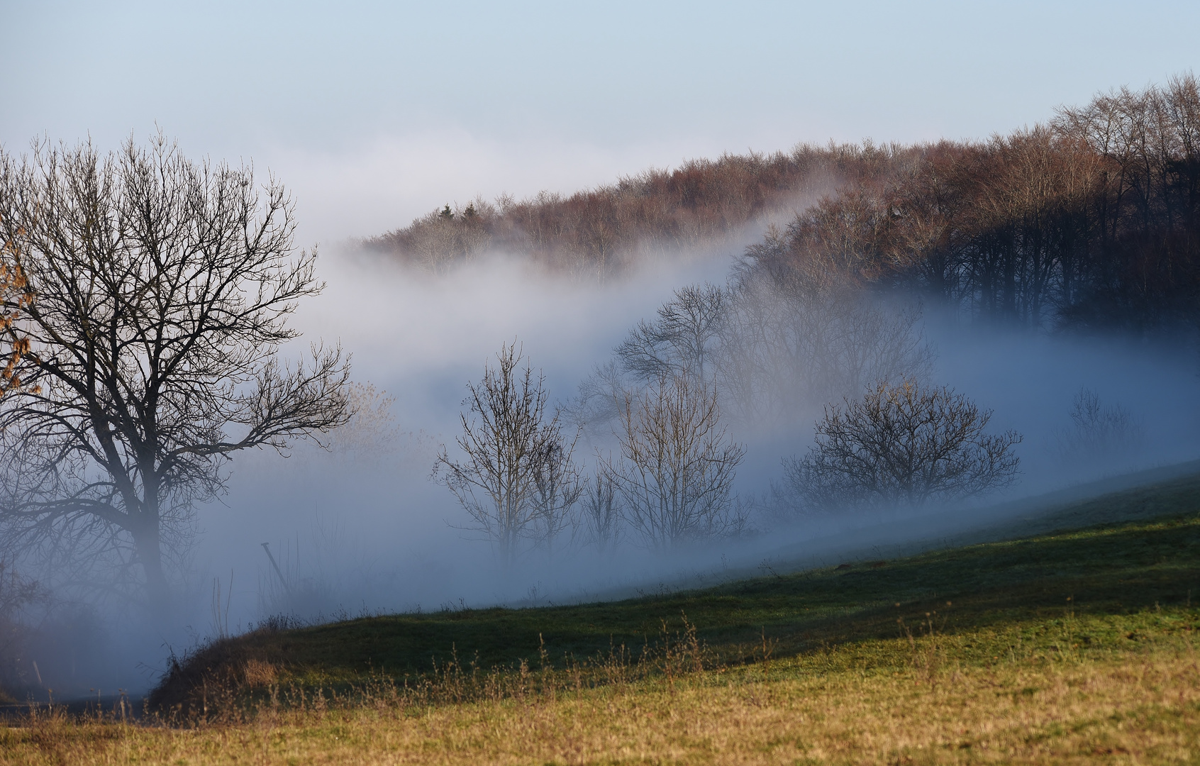 Der Nebel kommt Schleichend vom Tal