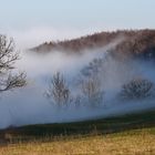 Der Nebel kommt Schleichend vom Tal