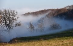 Der Nebel kommt Schleichend vom Tal