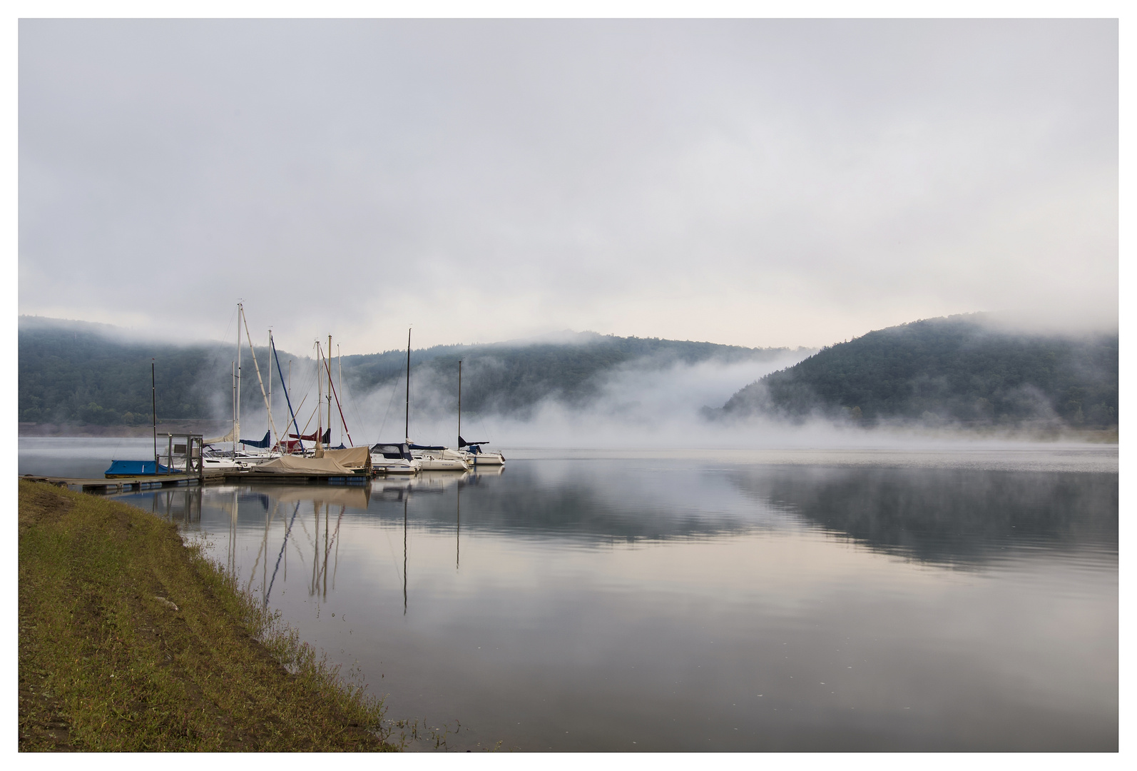 Der Nebel kommt zum See