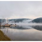 Der Nebel kommt zum See