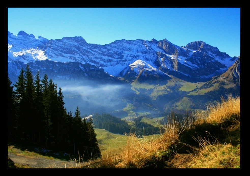 ***Der Nebel kommt.....aus Luzern***