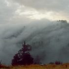 Der Nebel kriecht den Berg hoch