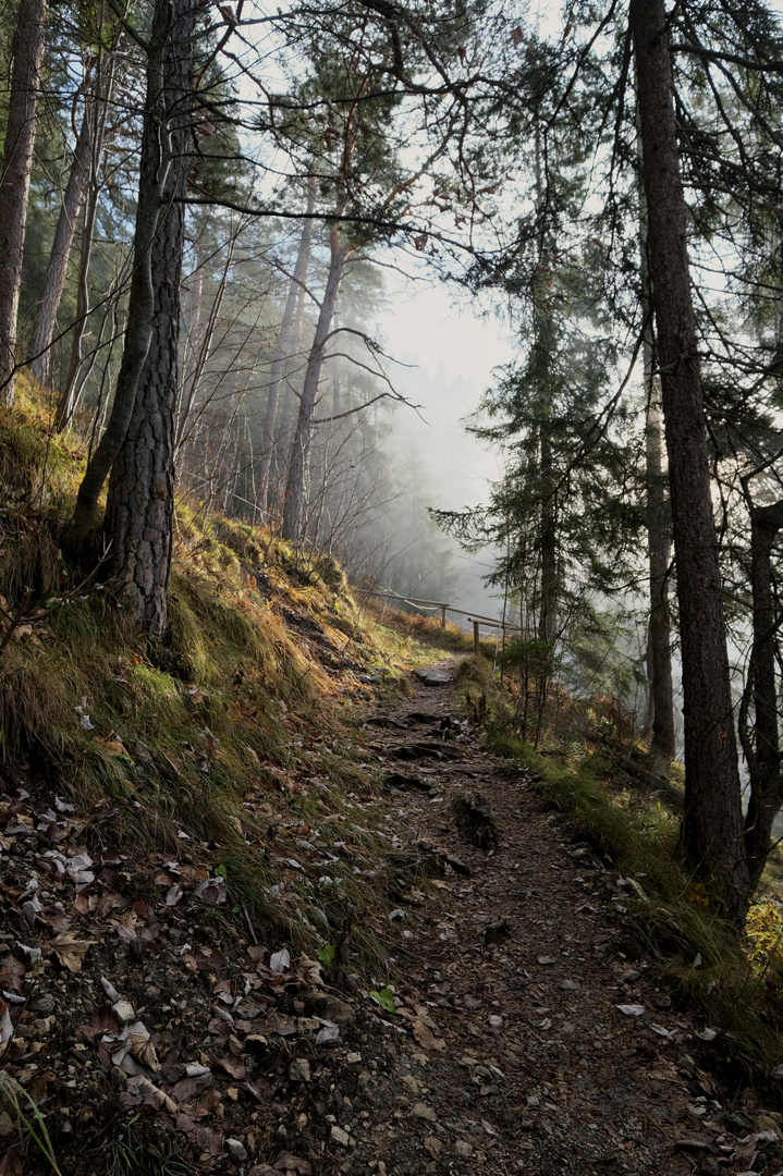 Der Nebel lässt nach