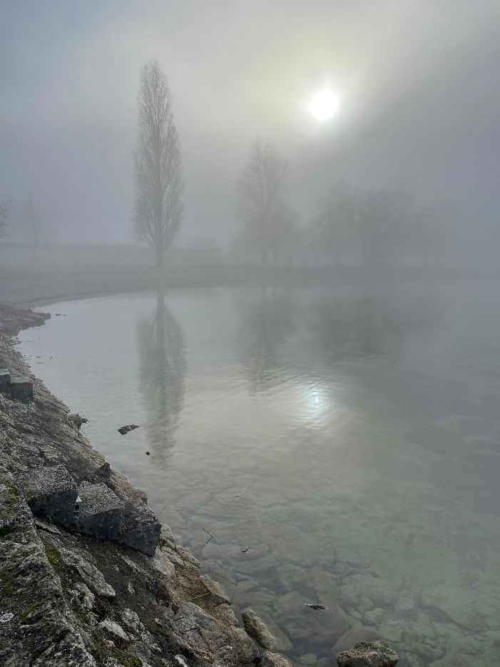 der Nebel lichtet