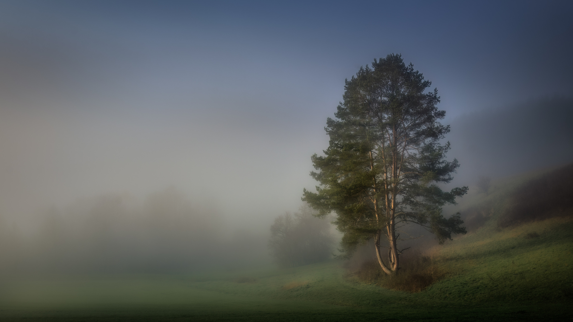 Der Nebel lichtet sich 