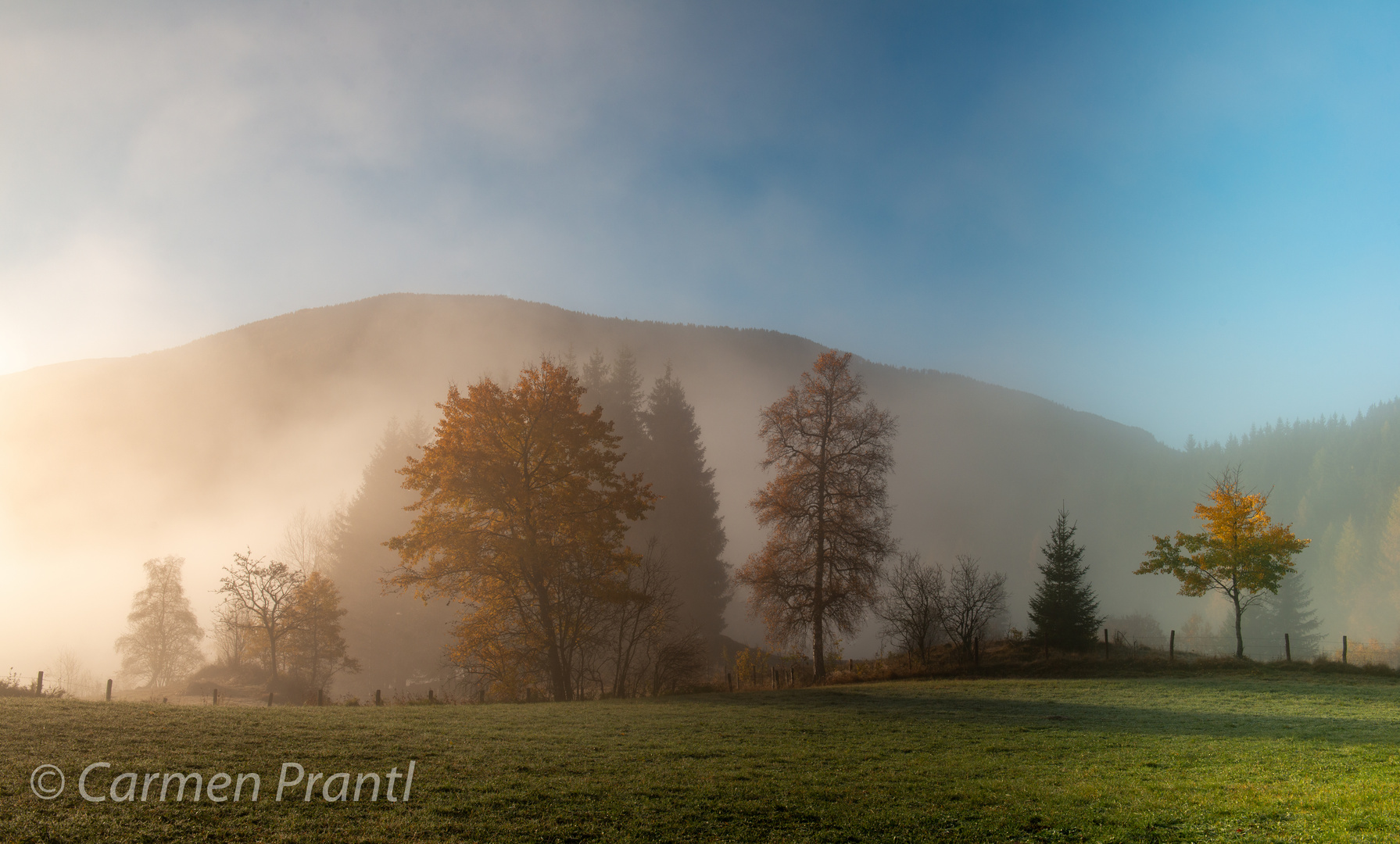 Der Nebel lichtet sich