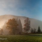 Der Nebel lichtet sich