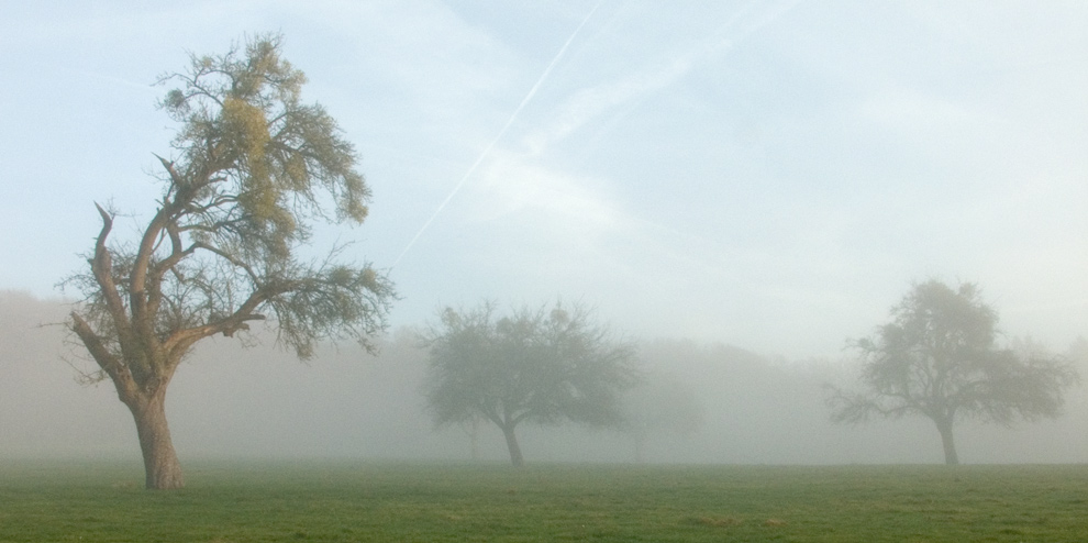 ~ der Nebel lichtet sich ... ~