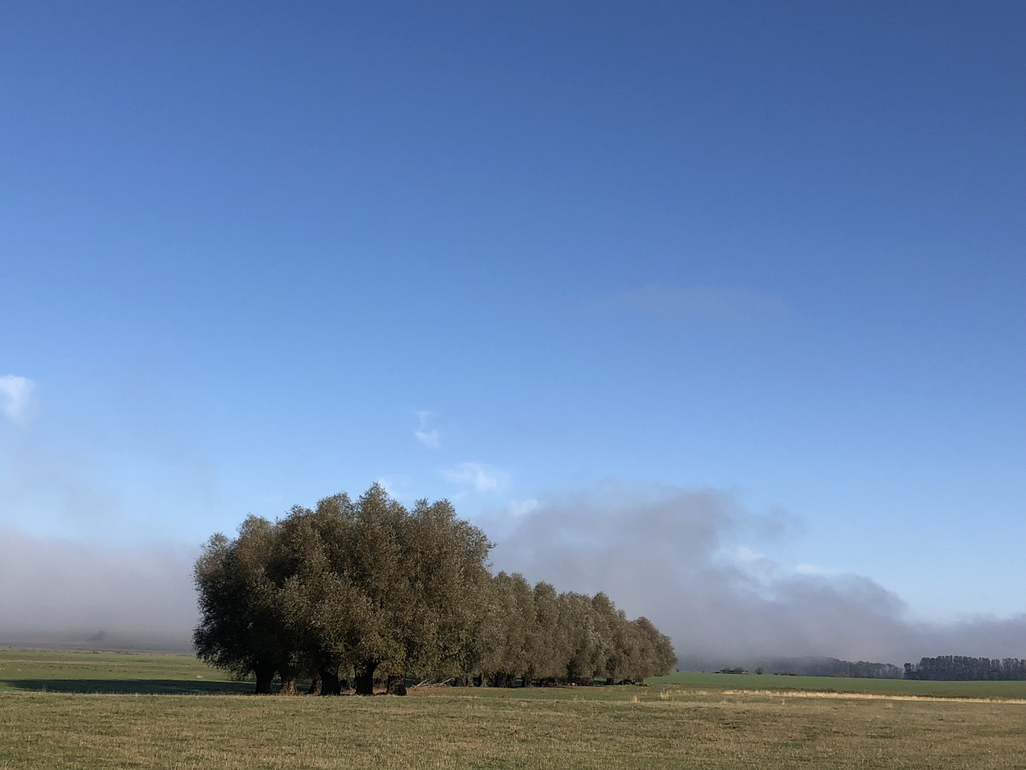 Der Nebel lichtet sich..