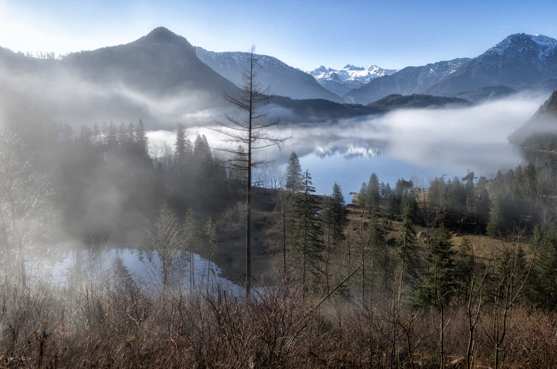 der Nebel lichtet sich