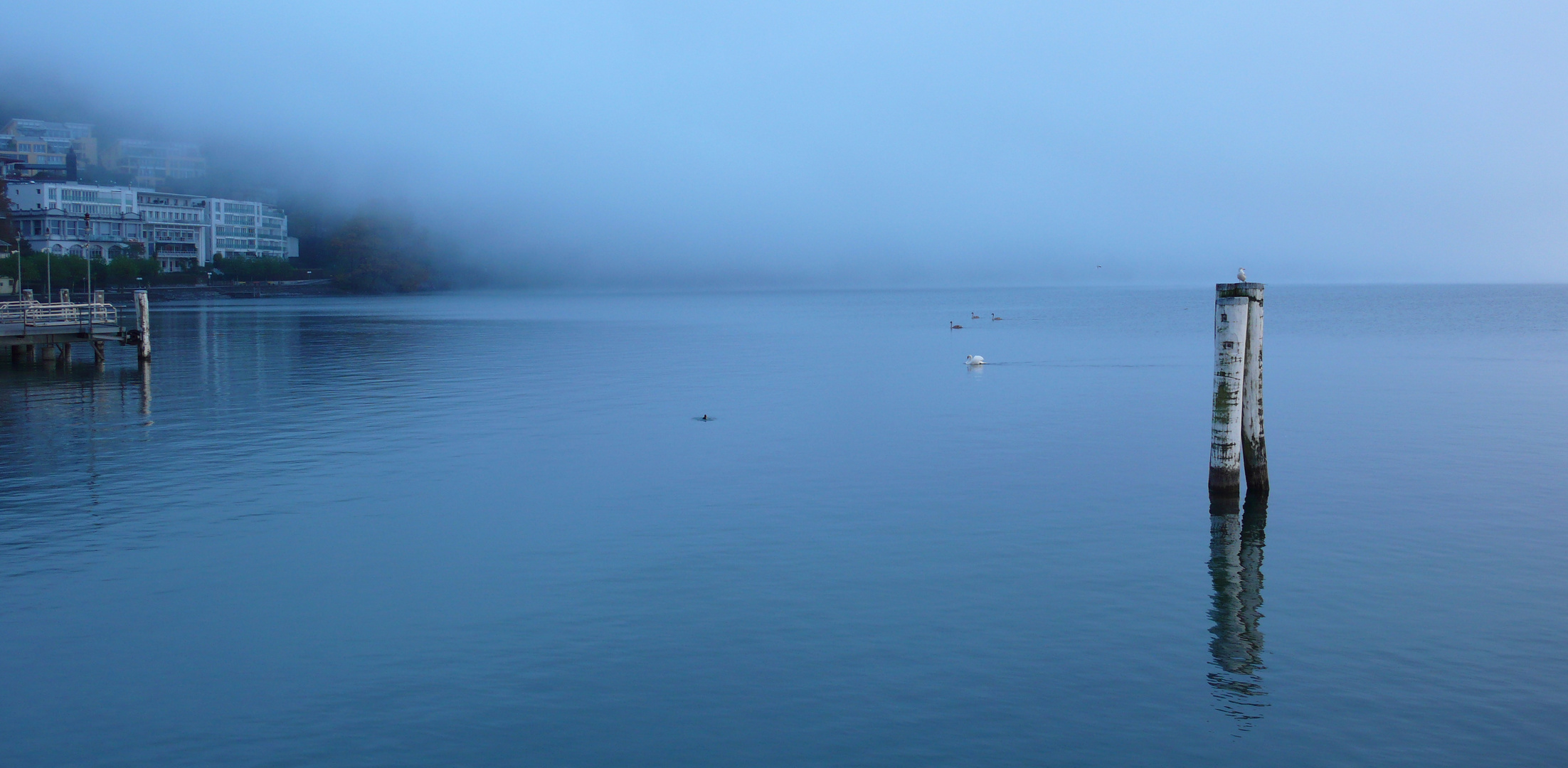 Der Nebel lichtet sich