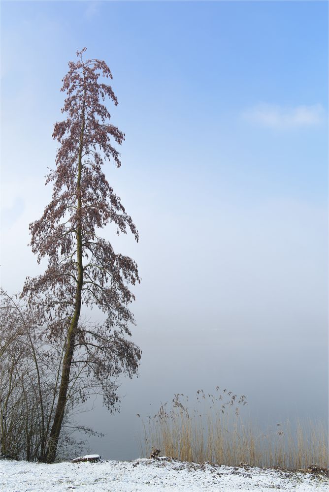 der Nebel lichtet sich