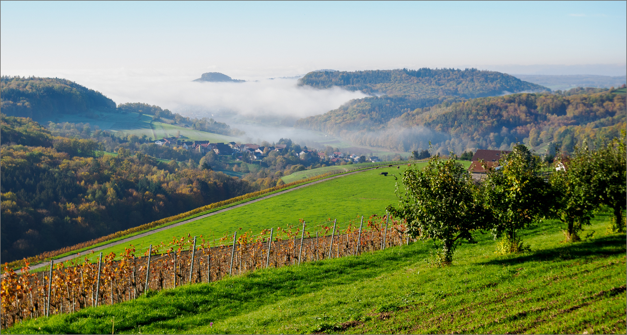 Der Nebel lichtet sich