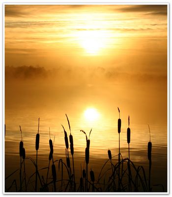 Der Nebel lichtet sich