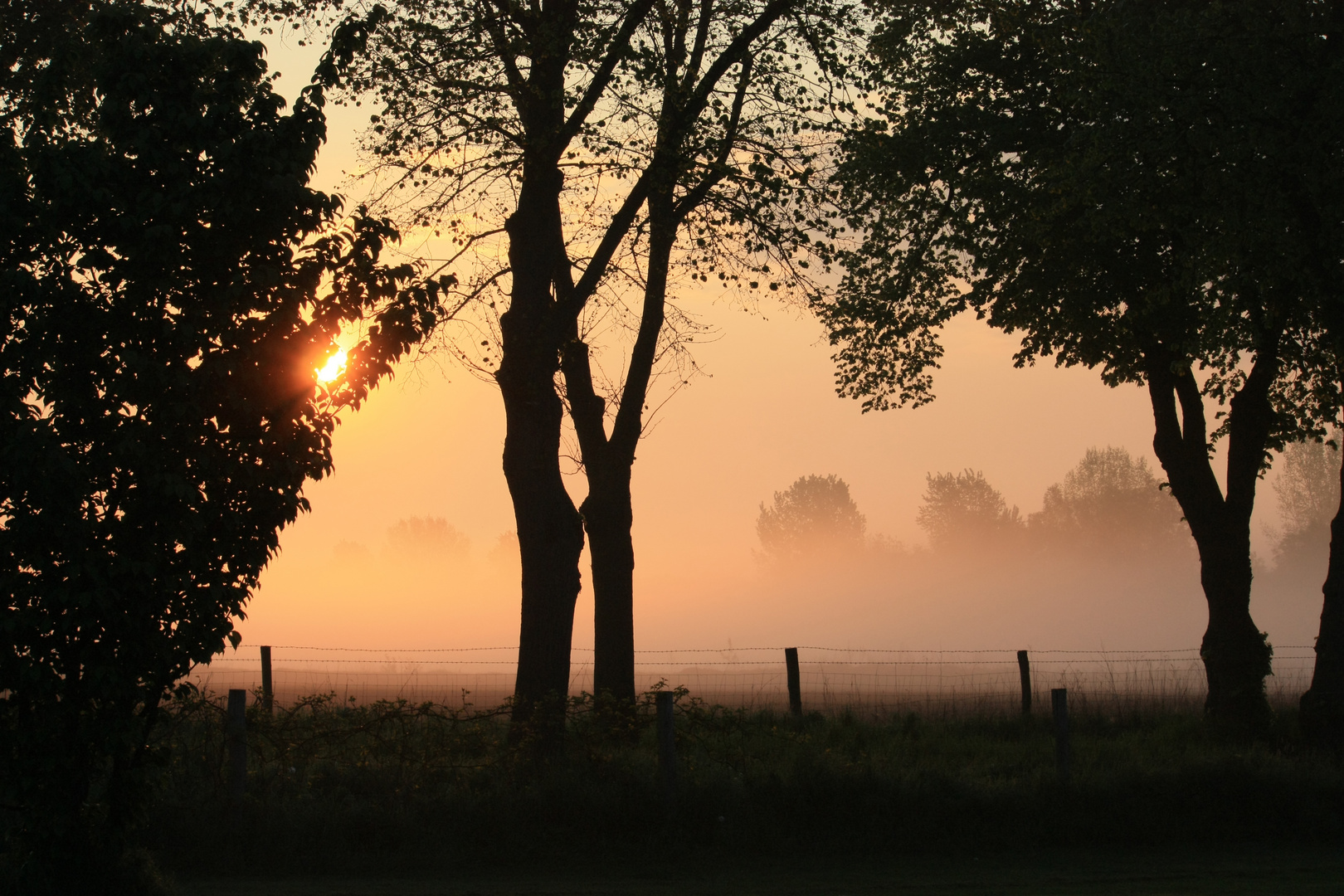 Der Nebel lichtet sich.