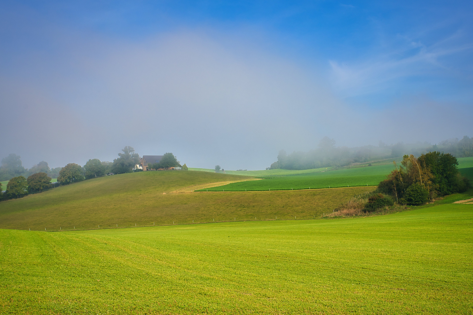 Der Nebel lichtet sich