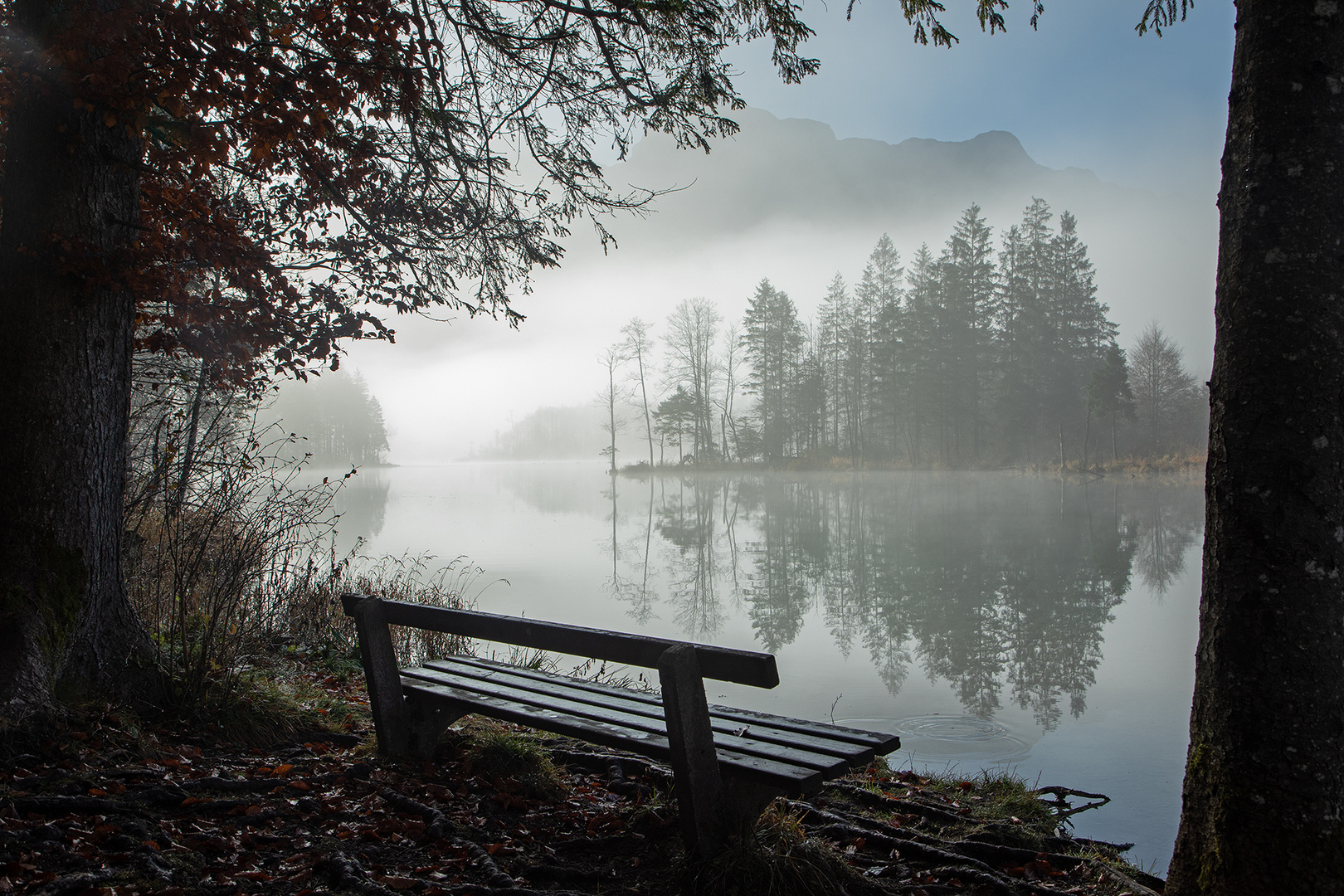 der Nebel lichtet sich 5