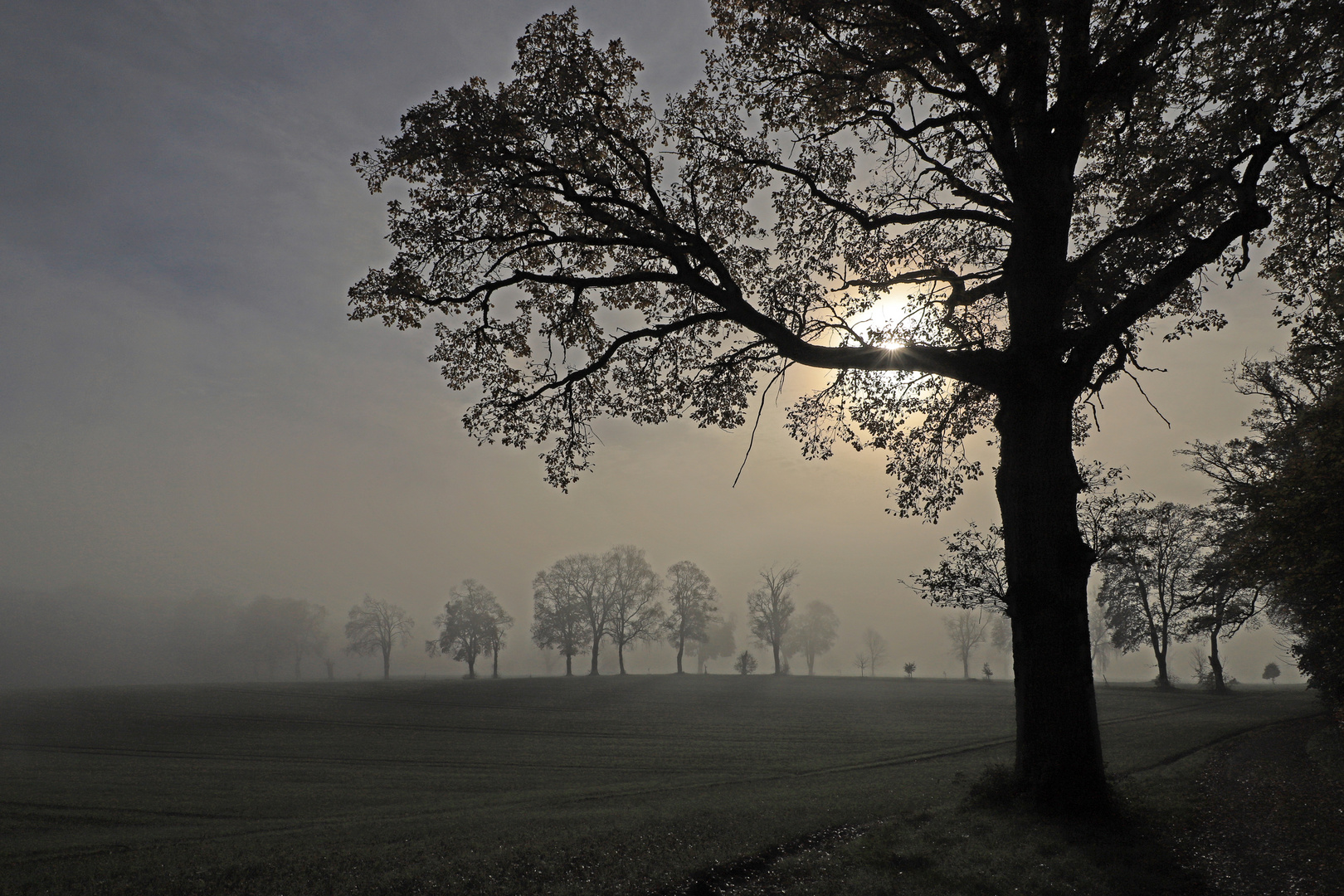 Der Nebel lichtet sich...