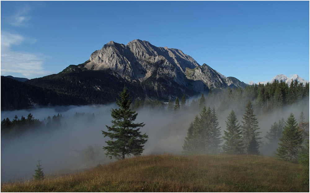 Der Nebel lichtet sich