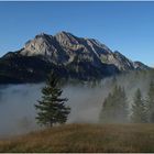 Der Nebel lichtet sich