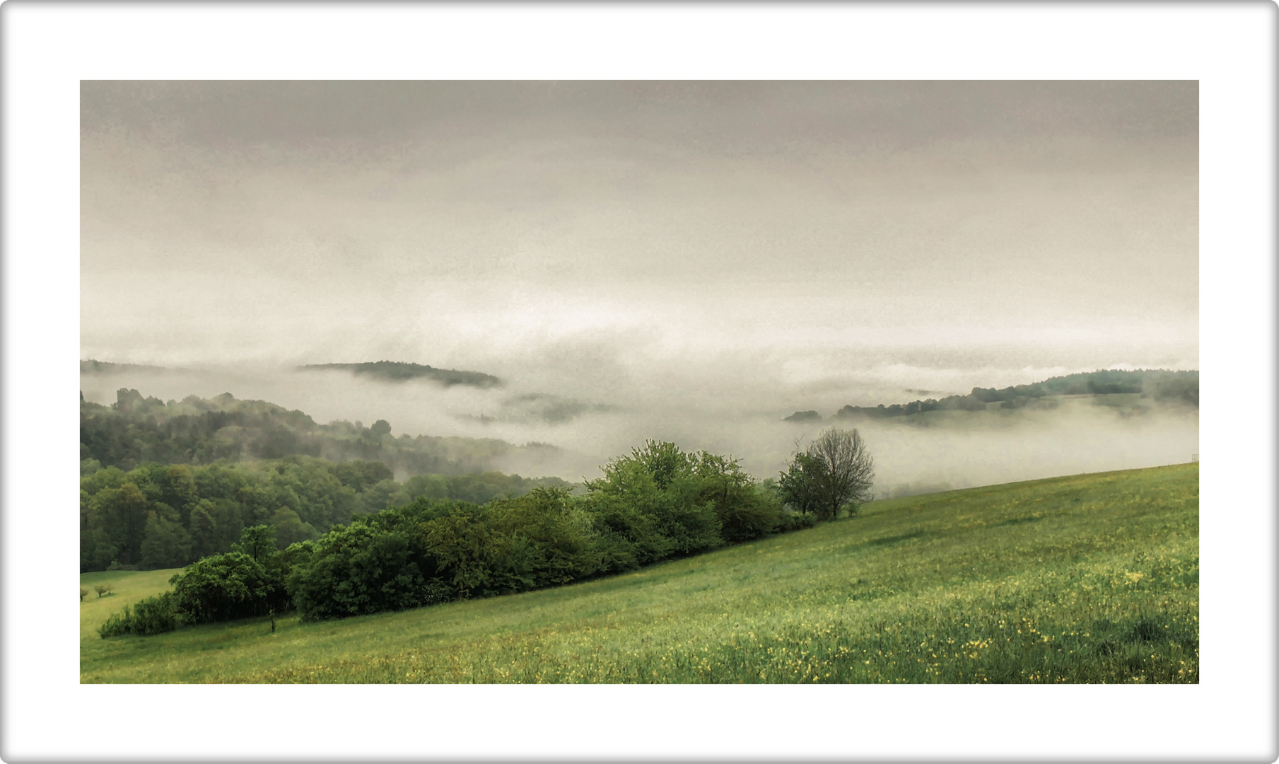 der Nebel lichtet sich