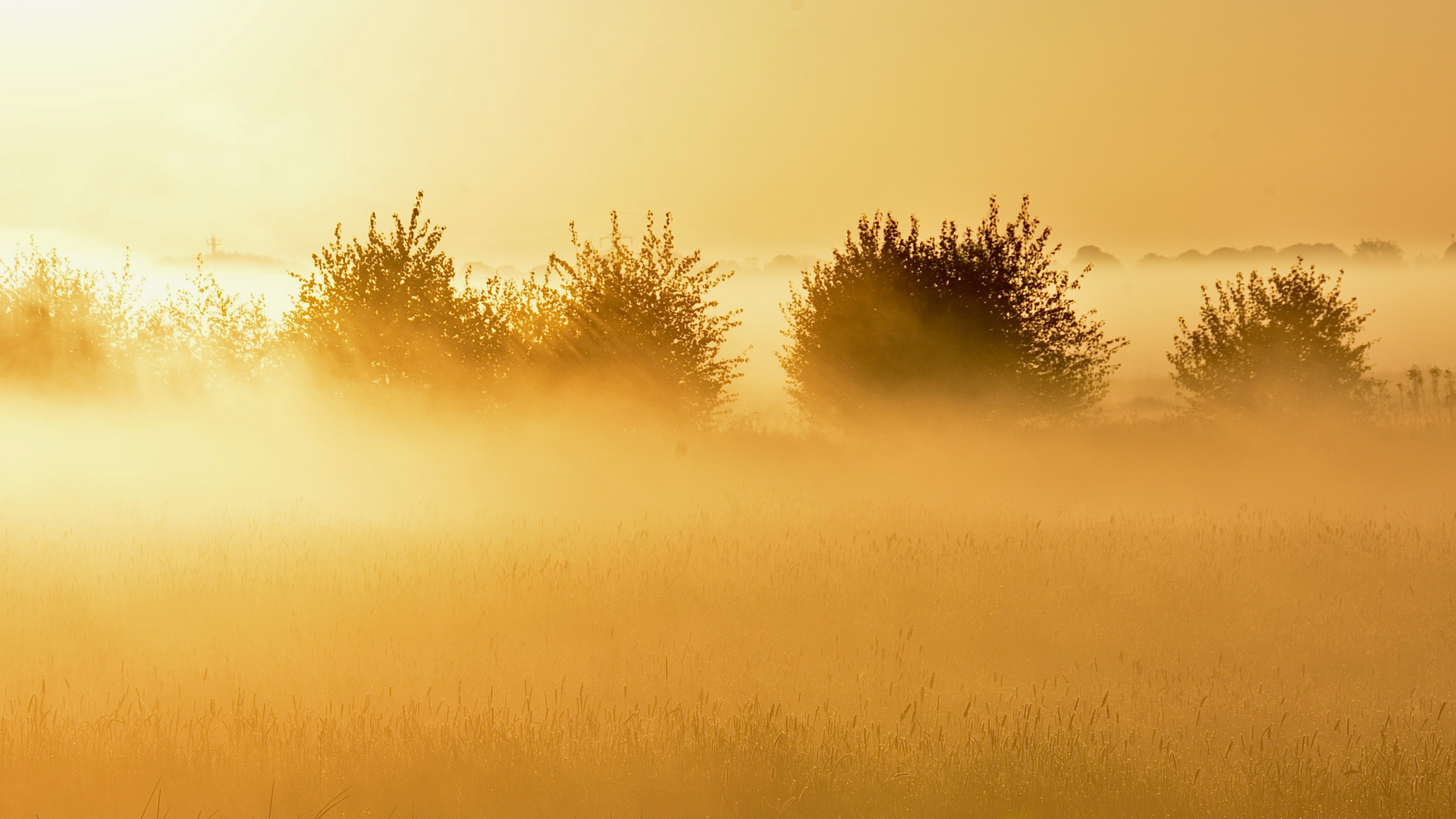 Der Nebel lichtet sich