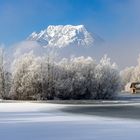 Der Nebel lichtet sich