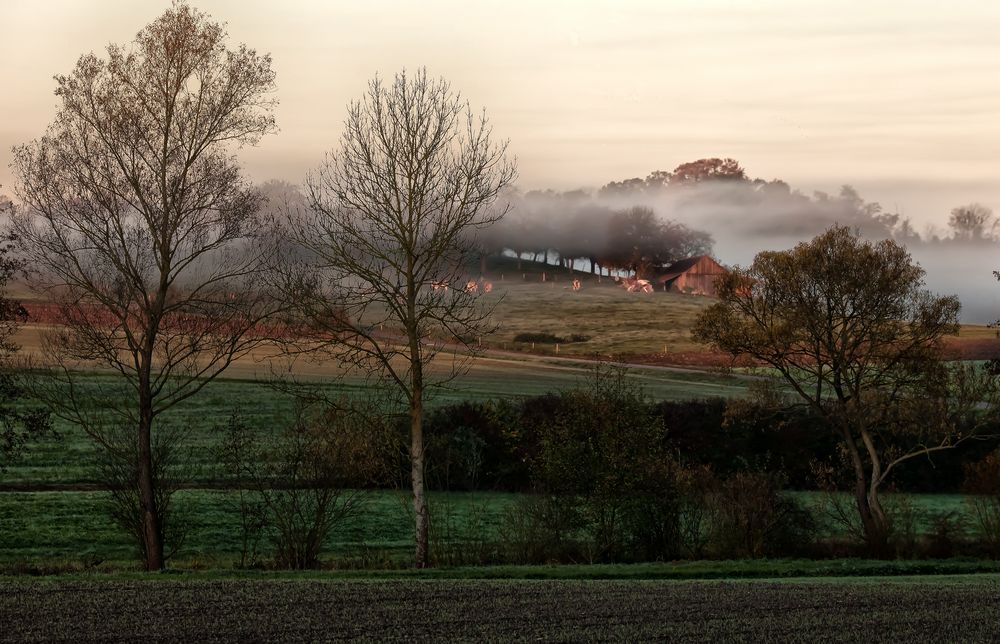 Der Nebel lichtet sich