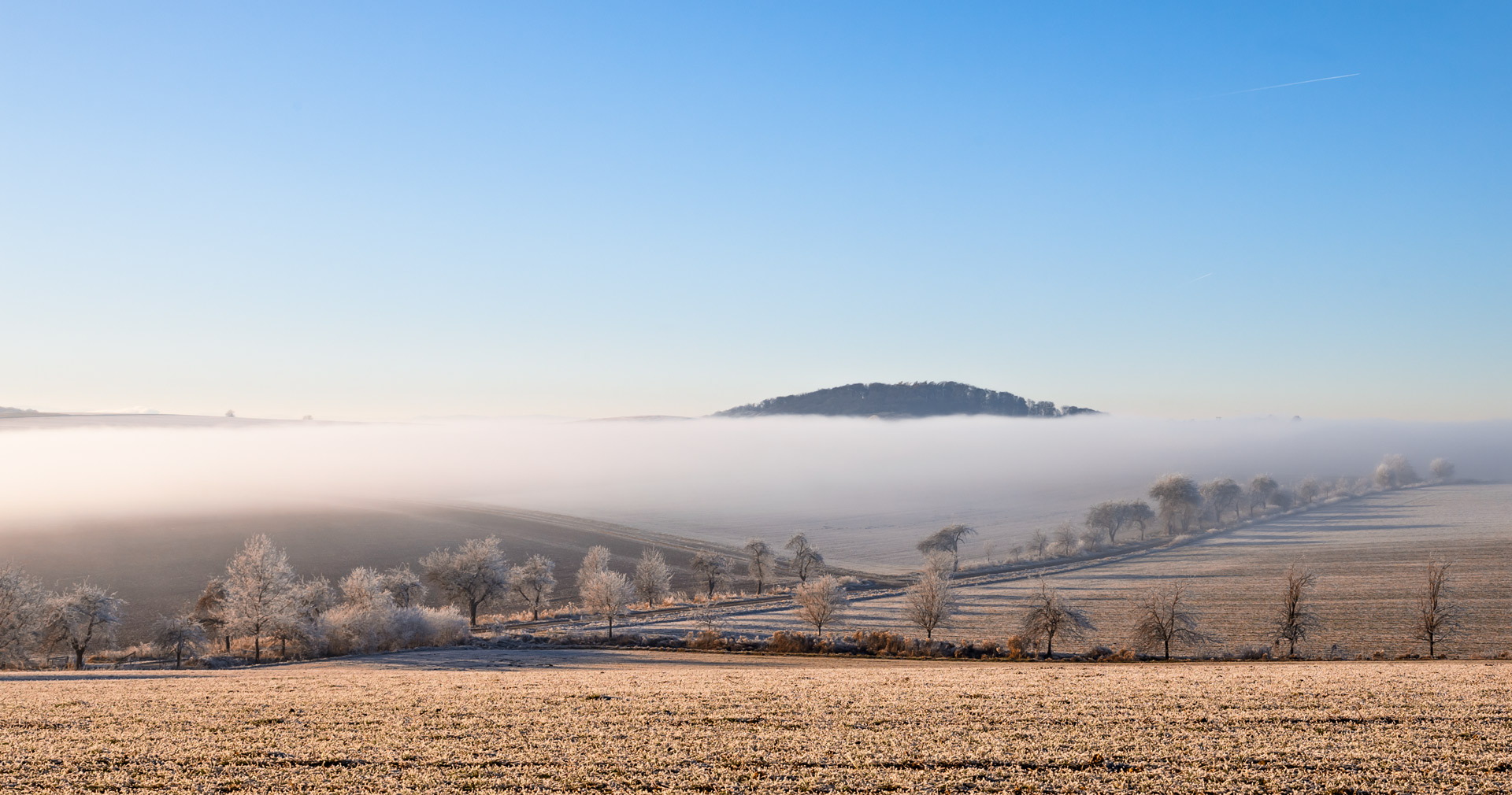 der Nebel lichtet sich...