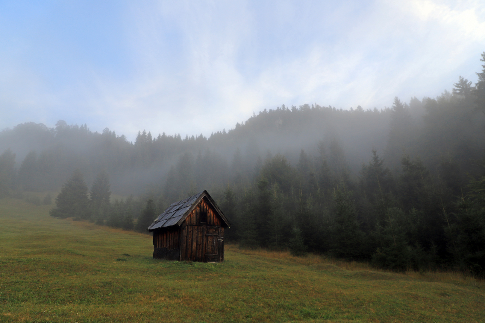 Der Nebel lichtet sich