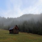 Der Nebel lichtet sich