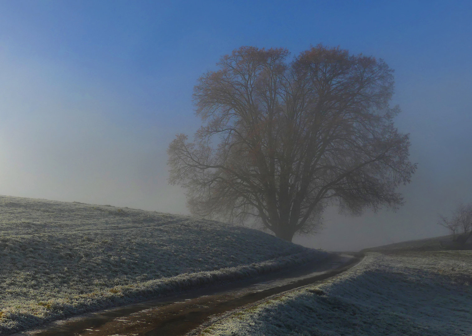 Der Nebel lichtet sich