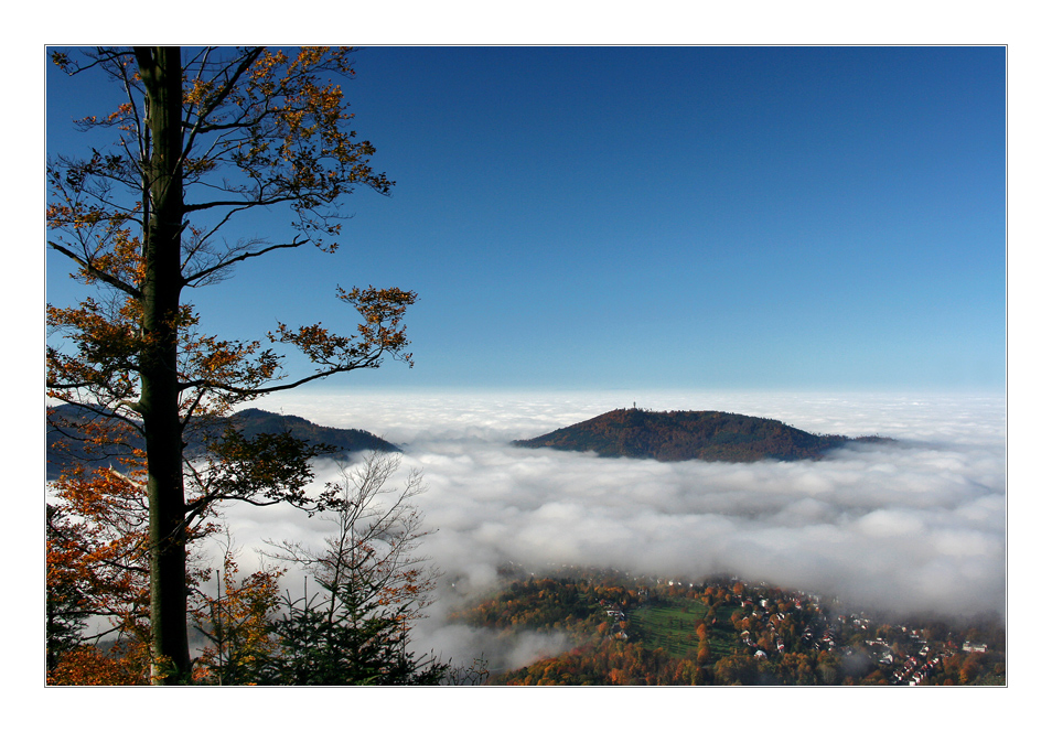 Der Nebel lichtet sich