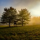 Der Nebel lichtet sich