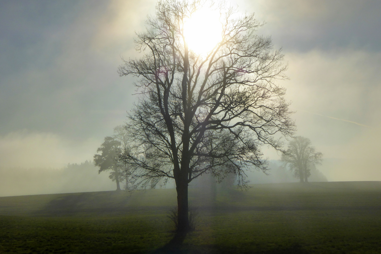 Der Nebel lichtet sich