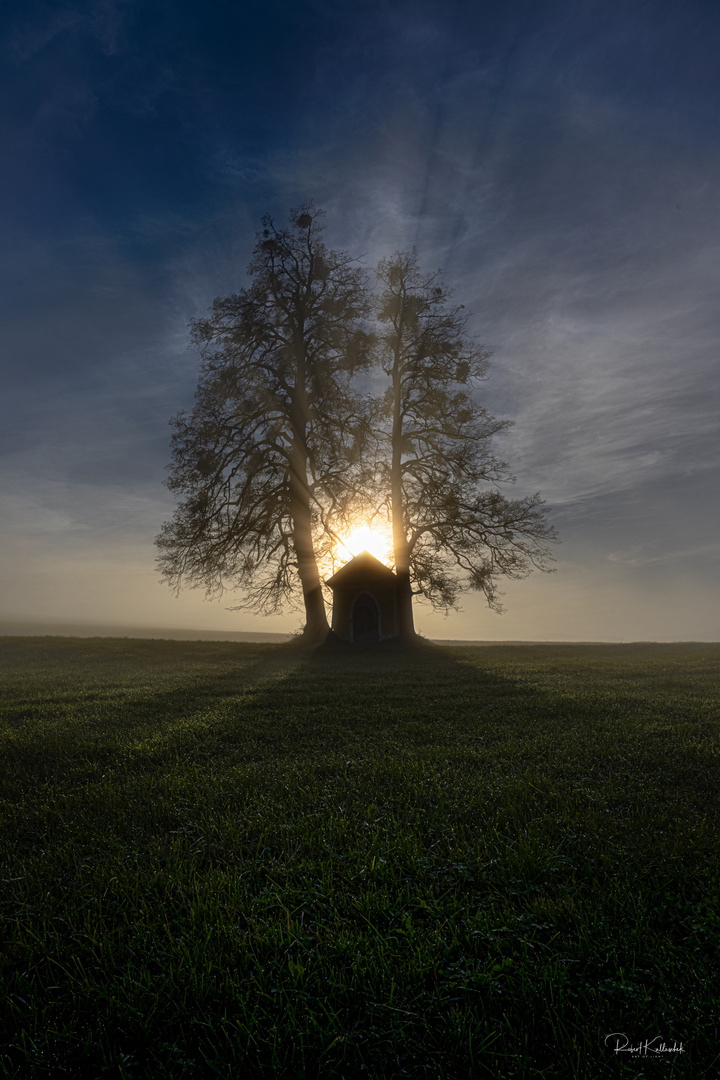 Der Nebel lichtet sich