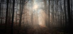 Der Nebel lichtet sich