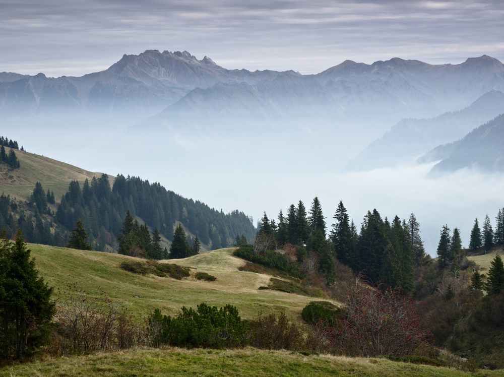 Der Nebel lichtet sich