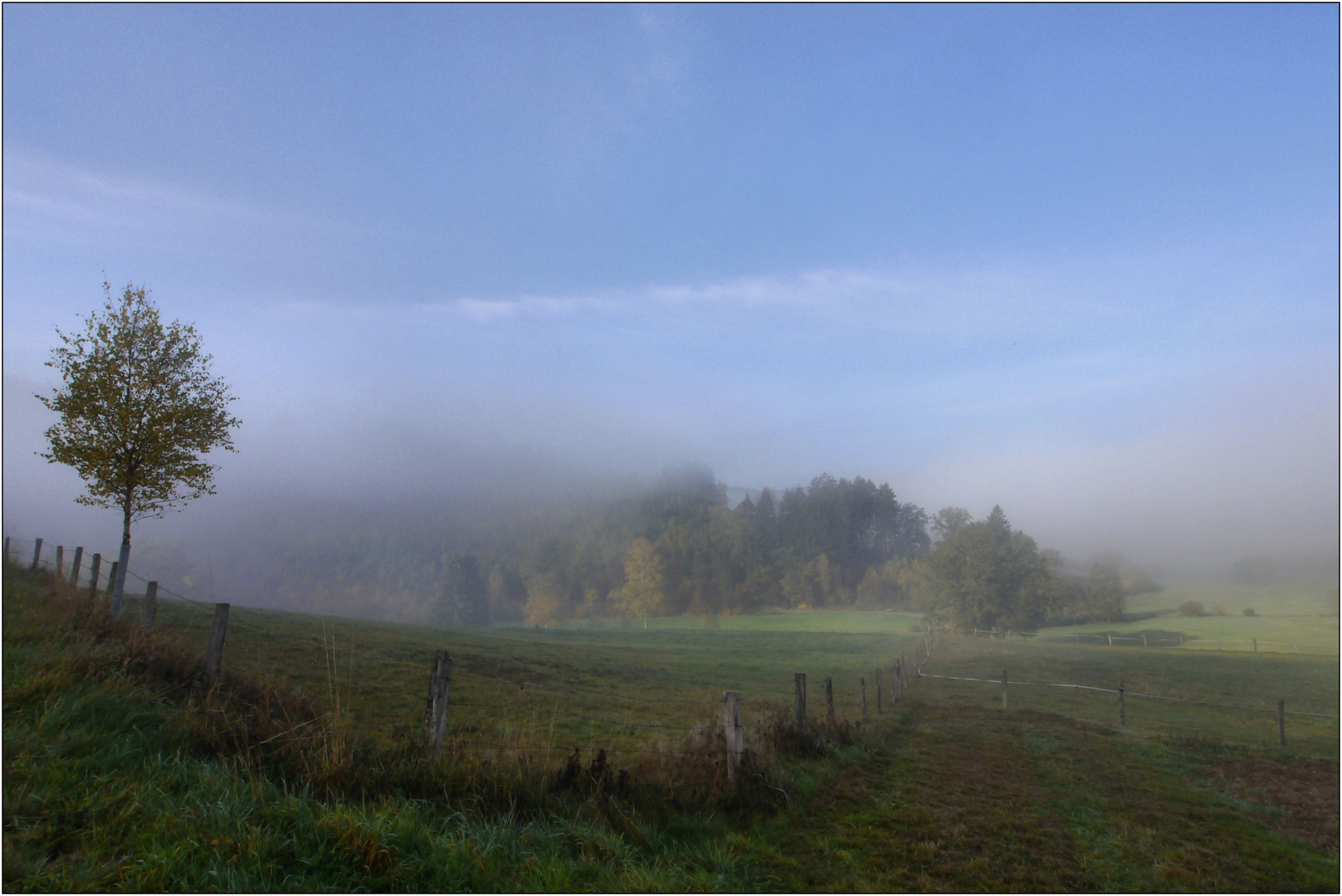 Der Nebel lichtet sich